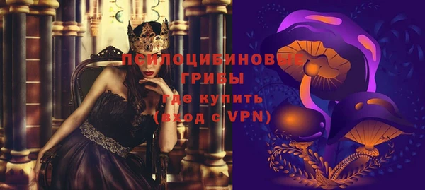 ПСИЛОЦИБИНОВЫЕ ГРИБЫ Бронницы