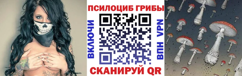 наркотики  Тольятти  Галлюциногенные грибы ЛСД 